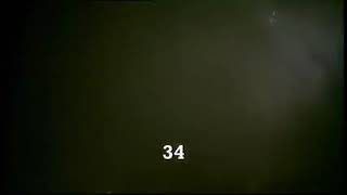 The Last Sentinel 2007 Don The Dragon Wilson Killcount