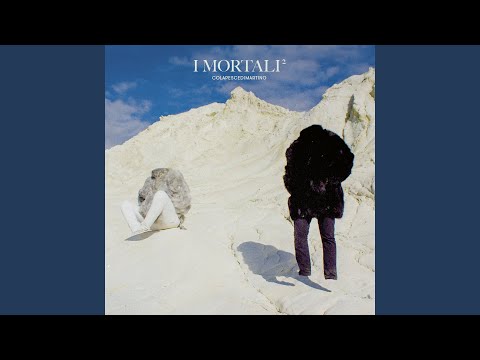 Dimartino — Totale