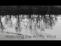 Watching the Winter Wind