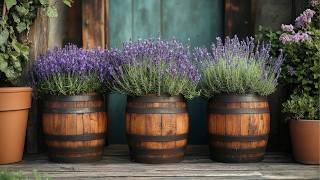 🌾 Rustic Garden Magic 2025 | Cozy Farmhouse Ideas to Transform Small Spaces! 🏡✨