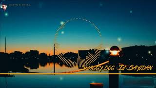 Shaggydog - Di Sayidan