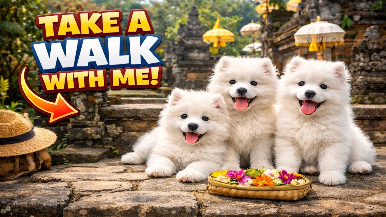 Peaceful Walk in Ubud, Bali 🇮🇩 | Short Walking Tour