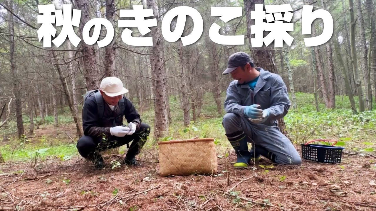 近所の山で秋のきのこ採り〜声でかいおっさんに密着
