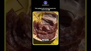 Genius Invention Fan That Keeps Bugs Off Your Plate