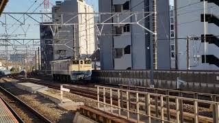 EF65-2083  2491レ梶ヶ谷貨物ターミナル行  八丁畷通過