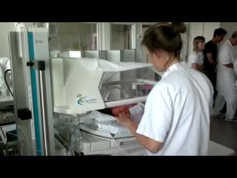 Helen Jafari هلن جعفری