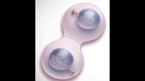 Cytokinesis Animation