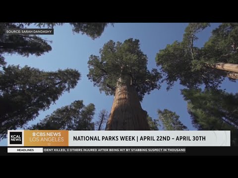 וִידֵאוֹ: האם הפארק הלאומי שאבונה לייק פתוח?