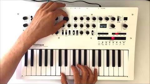 Korg Minilogue - Sequence with Swing