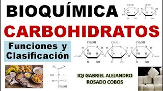 Carbohydrates. Functions, classification, and basic concepts.