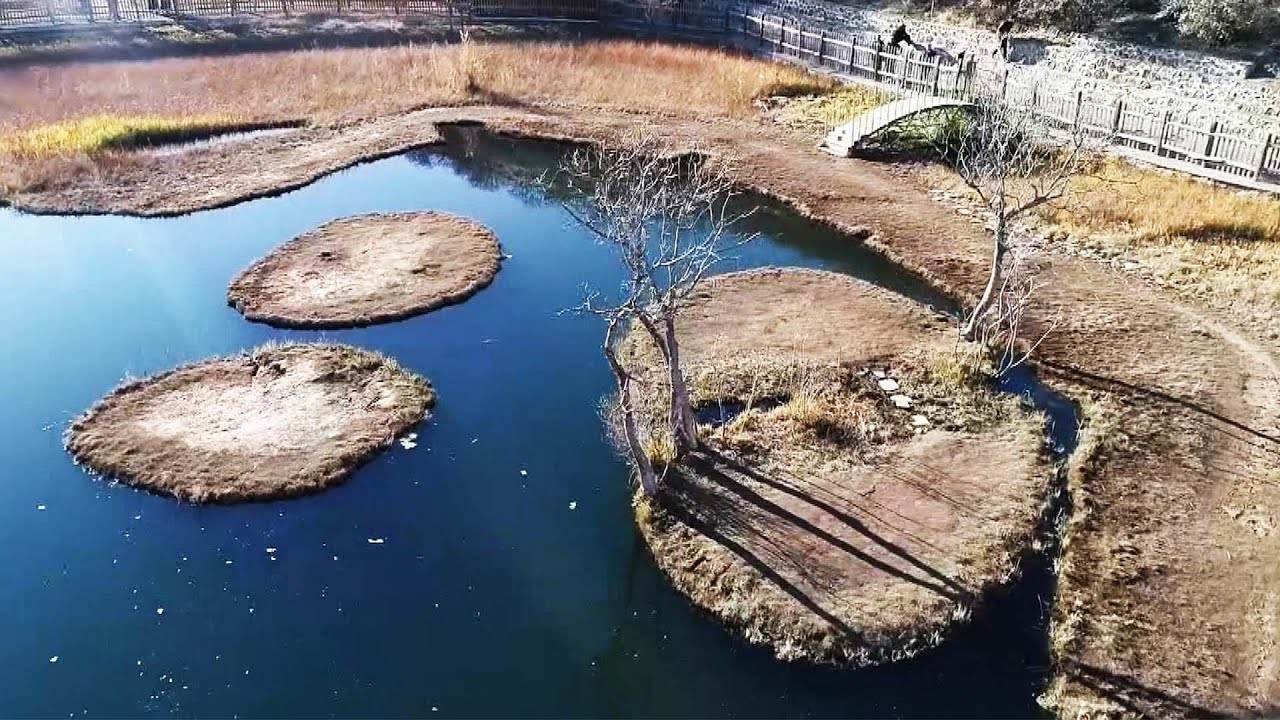 3 Floating Islands on Lake Are Popular With Tourists YouTube
