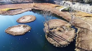 3 Floating Islands On Lake Are Popular With Tourists