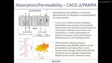 MolScreen - ADME Prediction