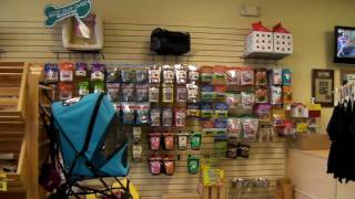 Whole Earth Pet Supply Tour of Our Store In Central Florida, Lady Lake and The Villages