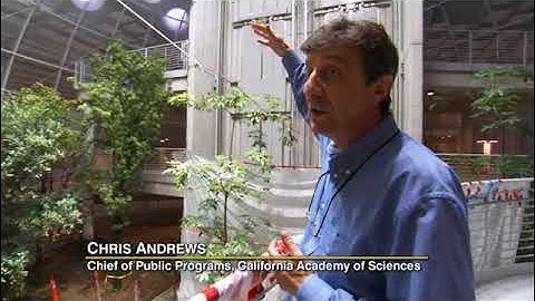 National Geographic Reading Explorer 3- Unit 8 Building a Rain Forest