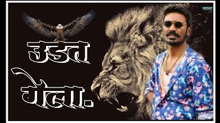 Ala tar ala naytar Udat gela | video status | by Bhaigiri Status Zone