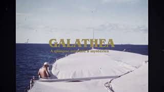 Galathea - en flig af livets gåde - trailer