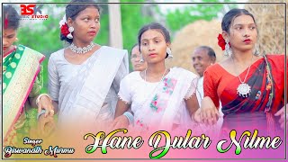 Hane Dular Nilme || Biswanath Murmu || Dinajpur santali orchestra Song 2024
