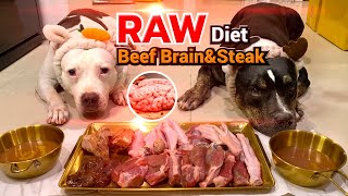 Beef Brain&Steak Raw Diet Comboasmr 犬が生の肉を食べる咀嚼音 Ep.49 Of 2025