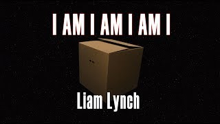 I am I am I am I (Liam Lynch)