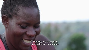 Ouroots Africa - sustainable and biodegradable alternatives to single-use plastic