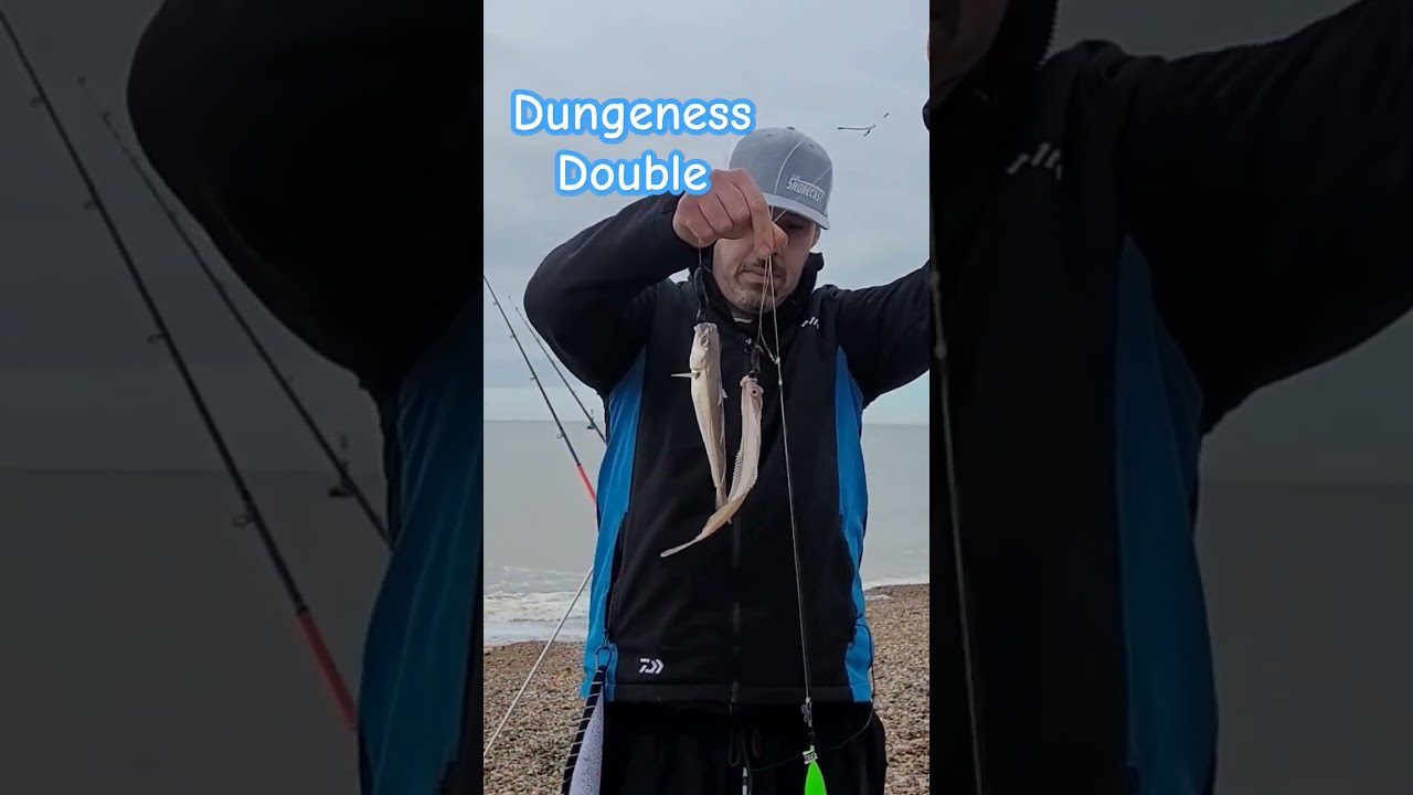 double shot of Dab and Whiting sea fishing uk at Dungeness 