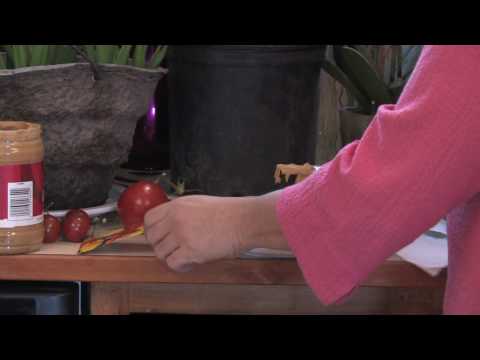 Vídeo: Seed Tape How to Guide: Aprenda a fazer fita de sementes para o jardim