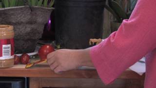 Garden Design & Care : How to Make  Seed Tape for Flowers