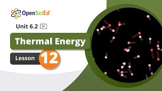 Unit 6.2 Lesson 12 Planning Video | OpenSciEd On-Demand Resources