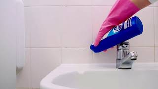 Pro Formula Domestos