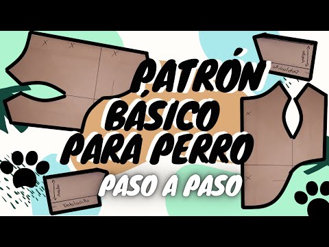 Video: Prepárese Para El Desafío Cambiante De La Propiedad De Un Perro