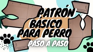 Patrón Básico Para Mascota Paso A Paso Suéter Talla L Costura Con Nad