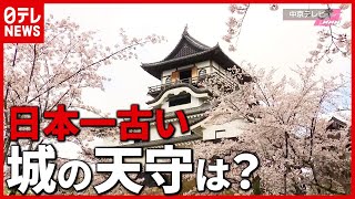 日本で現存する最古の“城の天守”が認定…地元は歓喜（2021年3月30日放送「news every.」より）