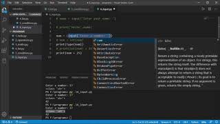 9. Input Function in Python - Python Tutorials Net Worth