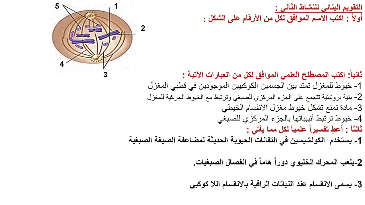 القسم الثاني من الدارة الخلوية للصف الحادي عشر
