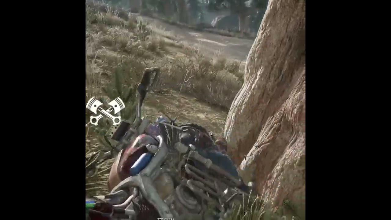 Days Gone Glitch 