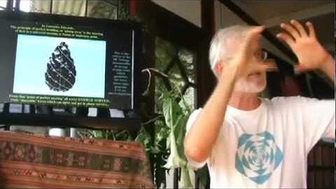 charge difference in an egg: Spirals, Fibonacci, and Being a Plan