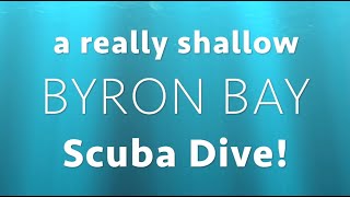 Byron Bay SUPER Shallow Scuba Dive! Guide