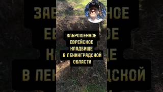 Заброшенное еврейское кладбище #оккультизм #магия #кладбище #местосилы