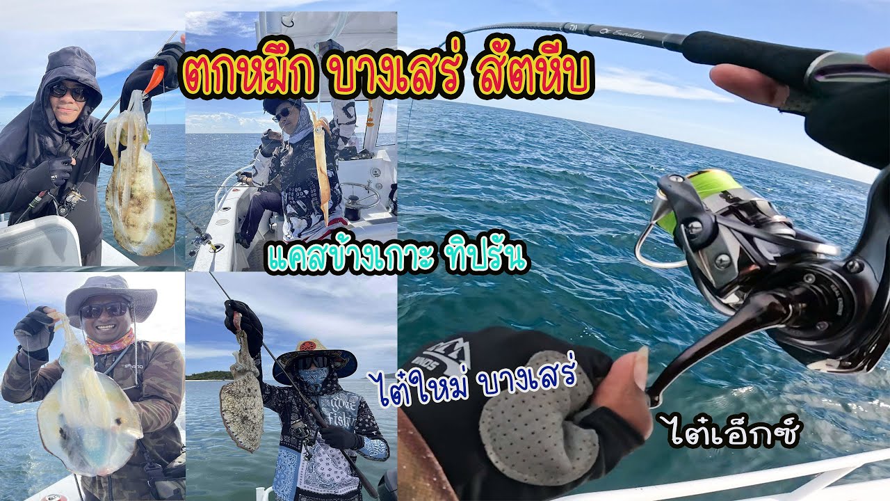 ตกหมึกทิปรัน ( Tip Run ) แคสข้างเกาะ ไซส์ตึงๆมือเลย ไต๋เอ็กซ์ บางเสร่ 