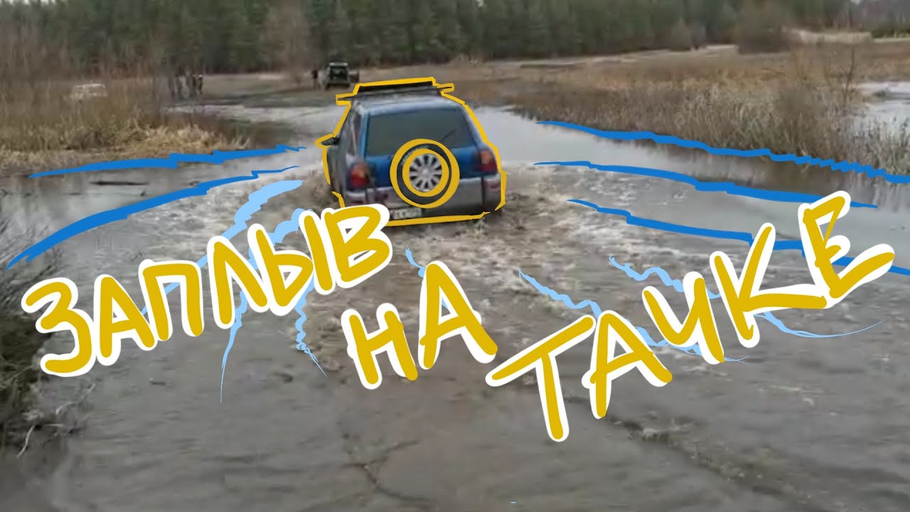 Гусь в машине