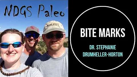 Chatting with NDGS Paleo: Bite Marks!