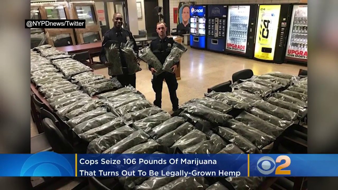 NYPD Brags On Twitter Of Major Pot Bust That Turned Out To Be