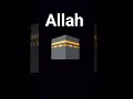 Allah Hafiz ❤️ #account #deeni #deensayings #deeni #deenemurtad #deenemurtad #funny #mha #music