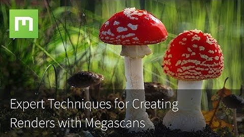 Expert Techniques for Creating Renders with Megascans