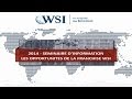 Les opportunits de wsi  franchise b2b  devenir consultant internet  version 2014