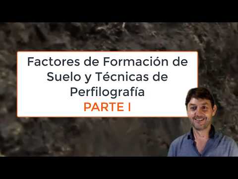 Video: ¿Qué factores son importantes en la formación del suelo?