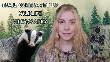 How to set up a trail camera for wildlife videography/ watching
