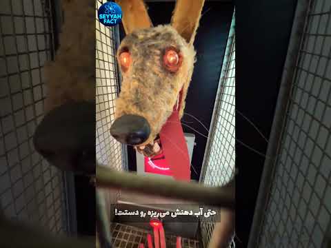 این دستگاه شهامت شما رو می سنجد