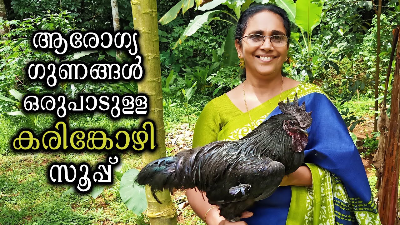 ഔഷധഗുണമുള്ള കരിങ്കോഴി സൂപ്പ് Karinkozhi Soup Recipe Black Chicken